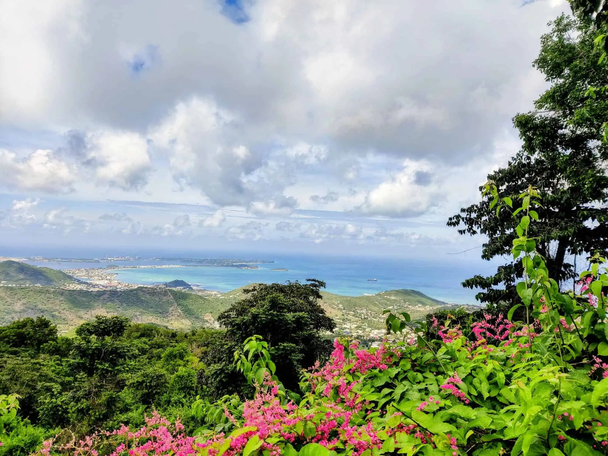 Loterie Farm Saint Martin Sint Maarten Recommendation Flower and Ocean View